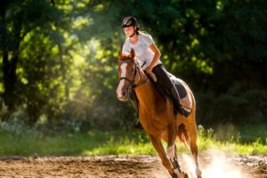 pratique de l'équitation